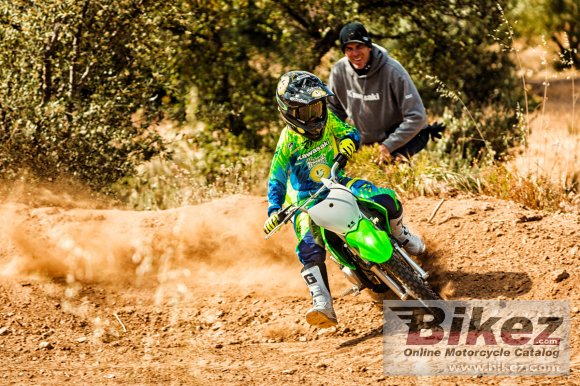 2018 kawasaki klx 110
